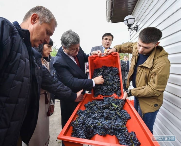 Президент подписал в Одесской области закон, освобождающий виноделов от лицензии на торговлю