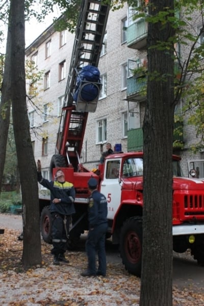 Одесские спасатели сняли с верхушки дерева кошку и мужчину