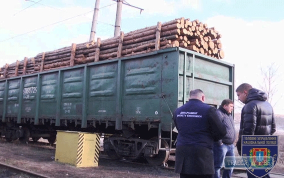 Одесские полицейские не дали вывезти в Румынию 19 вагонов леса на сумму более 1 млн гривен