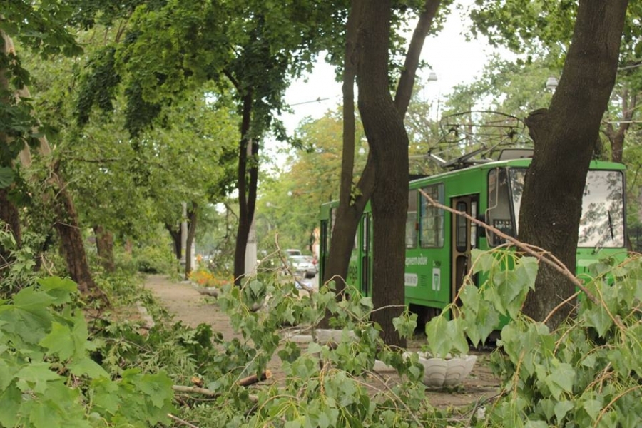 Около 300 домов в Одессе остаются без электричества после урагана