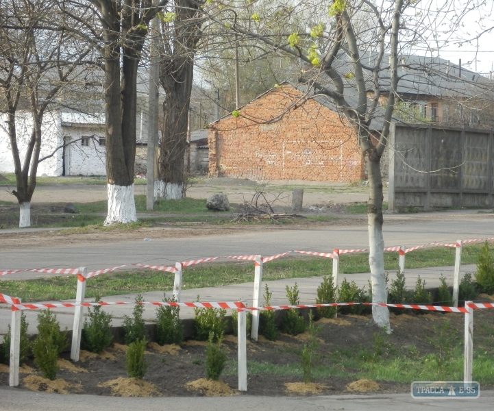 Власти Кодымы решили озеленить городской парк