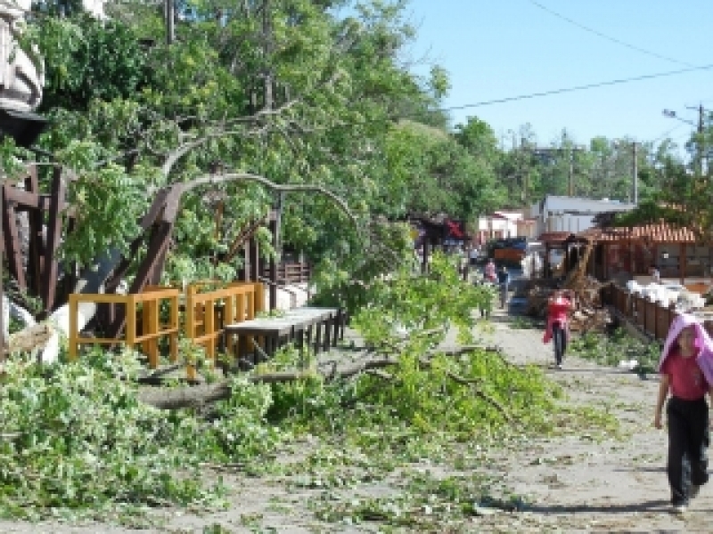 Горсовет зовет одесситов на субботник убирать последствия майского урагана