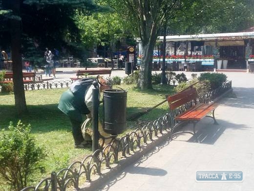 Коммунальщики начали высадку летних цветов в одесском Горсаду (фото)