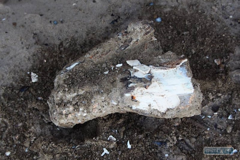 Сотрудники нацпарка в Одесской области нашли останки древних животных (фото)