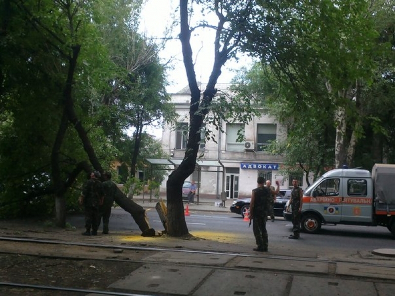 Рухнувшее дерево перекрыло движение в направлении поселка Котовского в Одессе (фото)