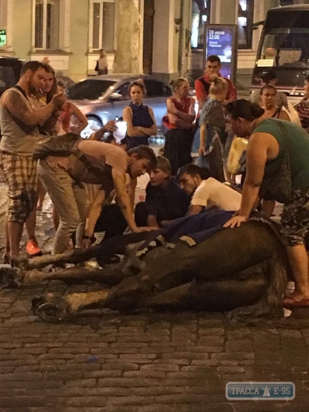 Одесситы и туристы спасли лошадь, сомлевшую от жары в центре города