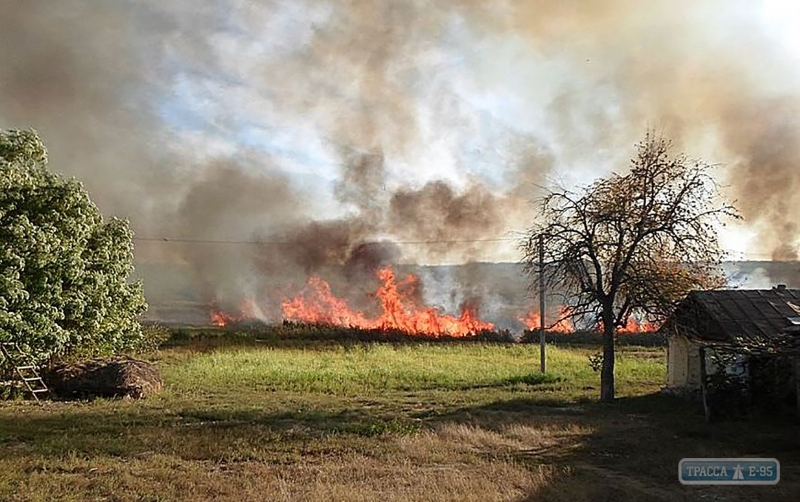 Пожар уничтожил 100 га плавней у реки Тилигул в Любашевском районе