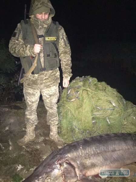 Пограничники задержали браконьеров с белугой весом 100 кг