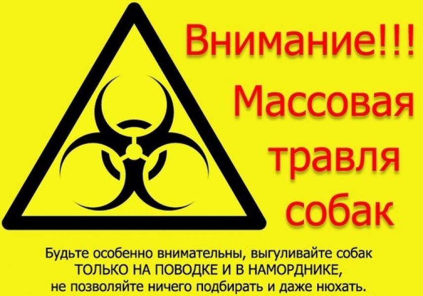 Неизвестные устроили массовую травлю собак под Одессой