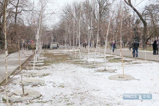 Весной в Одессе озеленят Прохоровский сквер