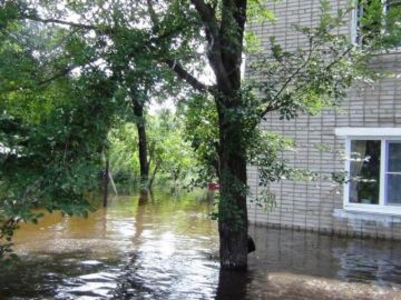 Сильный ливень затопил жилые дома в двух районах Одесской области