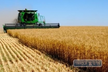 Одесская область завершила уборку пшеницы