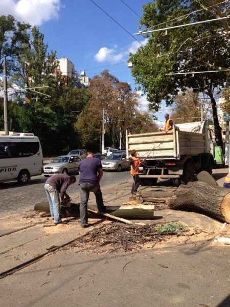 Движение транспорта по Французскому бульвару в Одессе на выходных будет затруднено