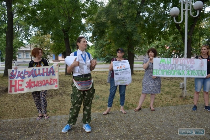 В Измаиле активисты выступили в защиту бездомных животных