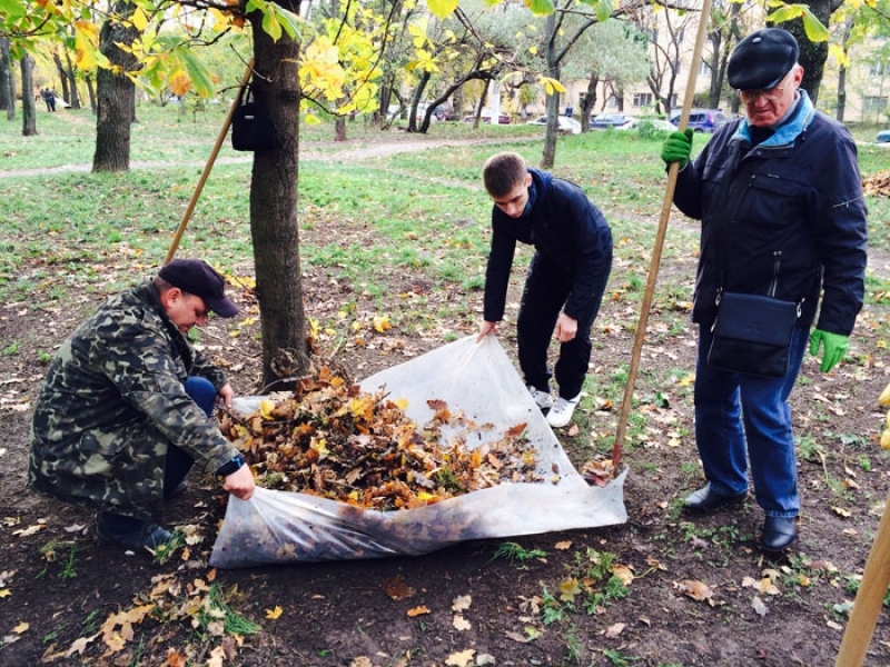 Чиновники и жители Одесской области высадили за один день 30 тысяч кустов и деревьев