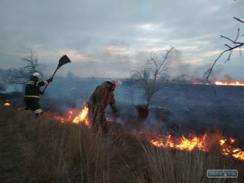 Спасатели потушили пожар в плавнях на трассе Овидиополь - Маяки