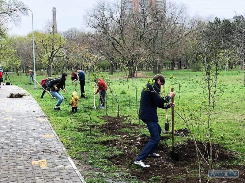 Одесситы вместе с коммунальщиками высадили в городе четвертую аллею сирени