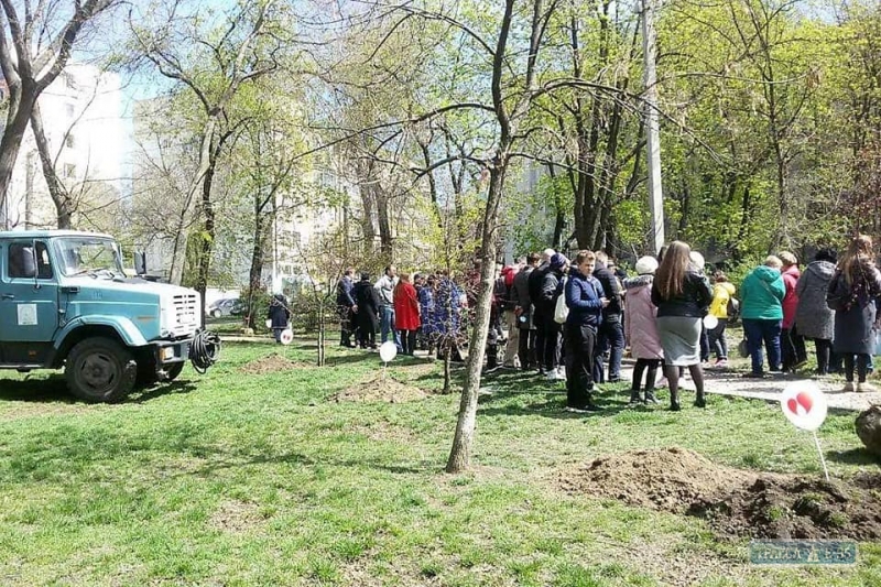 Аллея жизни появилась в Михайловском сквере Одессы