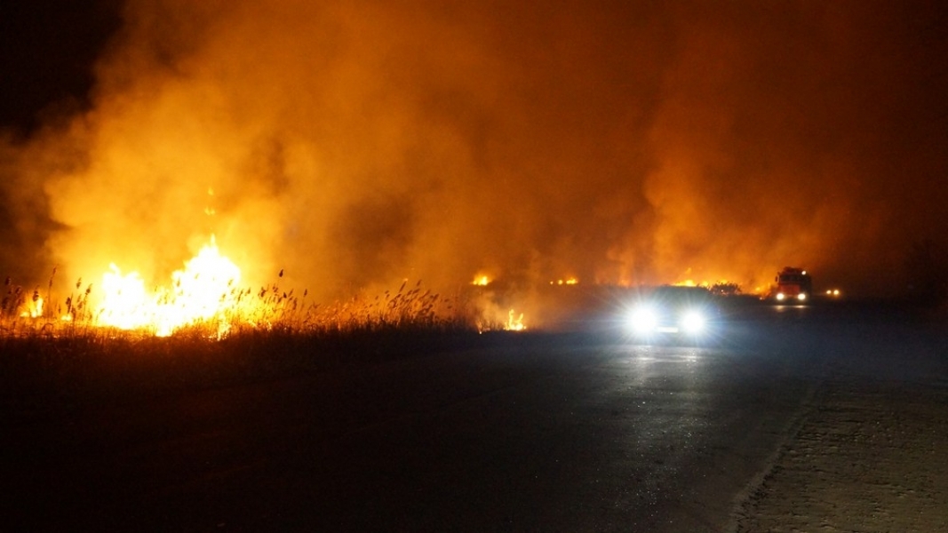 Сильный пожар уничтожил большие площади камыша вдоль Днестра в Беляевском районе Одесщины (фото)