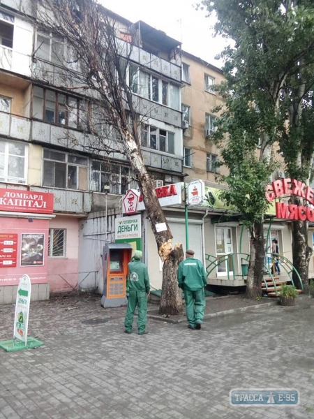 Древопад продолжается: 17 деревьев не выдержали непогоды в Одессе, стоят трамваи и троллейбусы