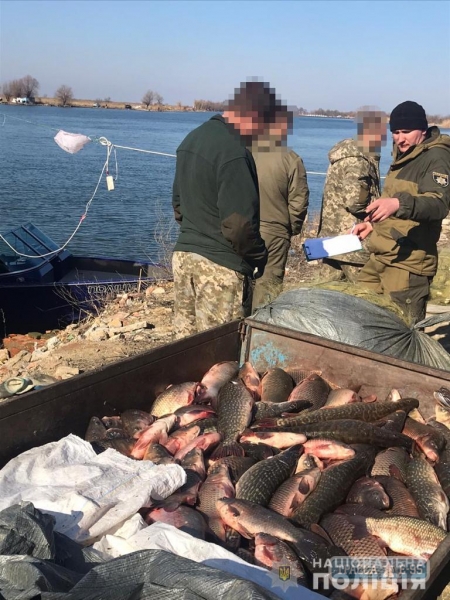 Браконьеры ведут незаконный промысел на Днестре в Одесской области