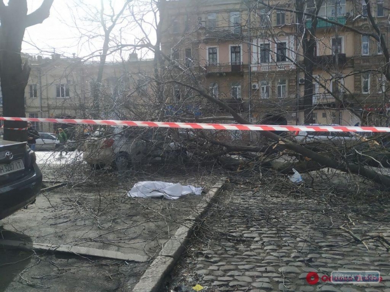 Рухнувшее из-за бури дерево убило одесситку в центре города
