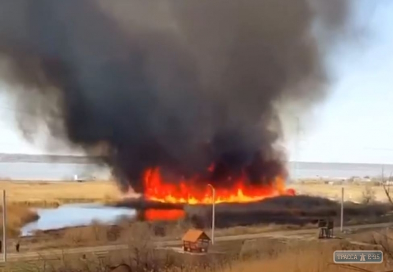 Масштабный пожар разгорелся возле объездной дороги в Одессе. Видео. Обновлено