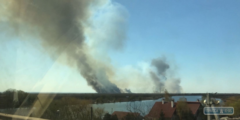 Нижнеднестровский национальный природный парк снова горит. Видео