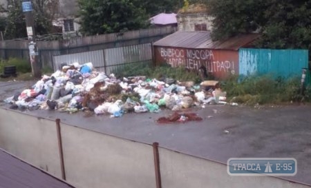 Коммунальщики собираются прославить на всю Одессу тех, кто мусорит в городе. Видео