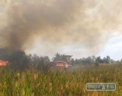 Спасатели 4 часа тушили огонь возле гостиницы на одесском побережье. Видео