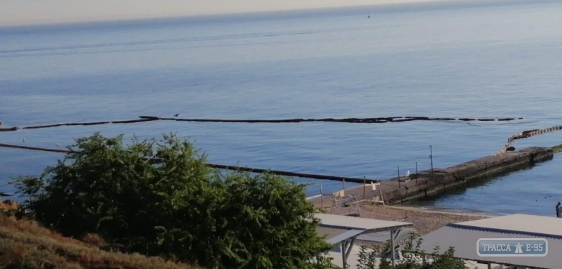 Экологи определили ущерб от утечек нефти с танкера Delfi