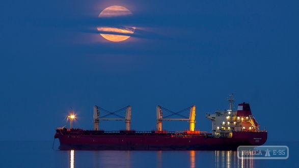 Коррупционные схемы с дипломами моряков будут ликвидированы, - министр