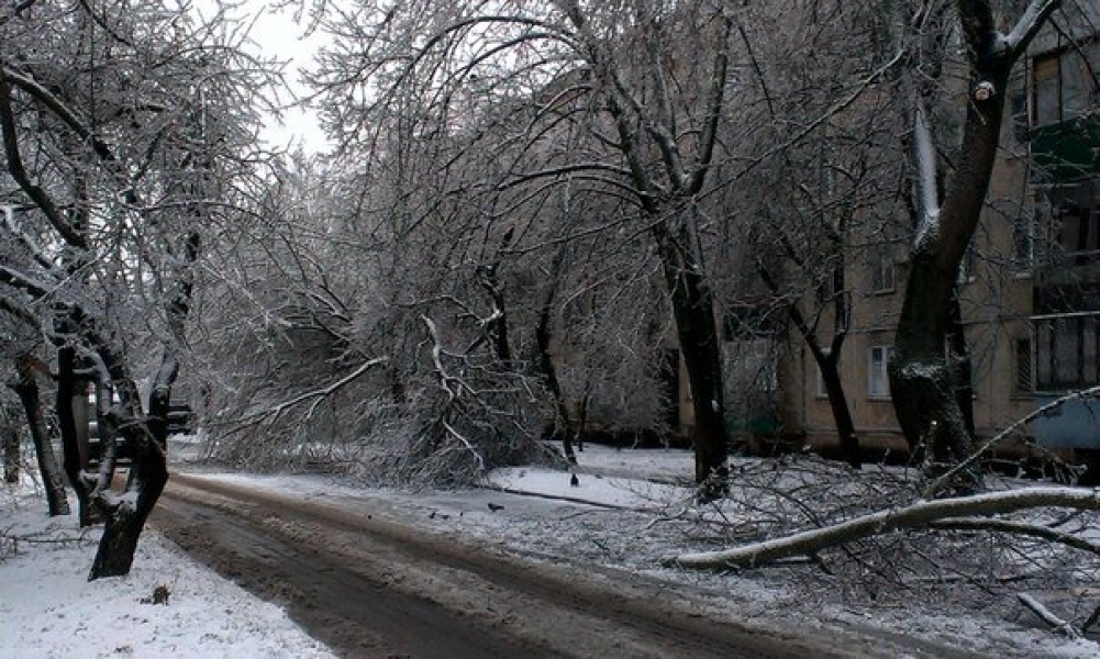 Одесса погрузилась в транспортный коллапс из-за обледенения улиц и падения деревьев (фото)