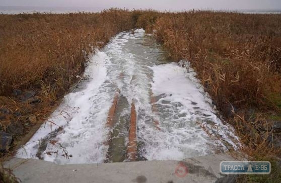 Подача морской воды в Куяльницкий лиман возобновилась для его спасения