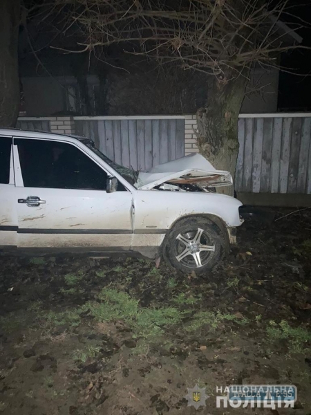 Водитель врезался в дерево и погиб в Измаильском районе, его пассажиры в больнице