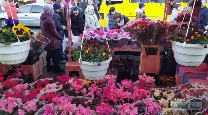 Одесские чиновники убирают цветочный базар с Екатерининской 