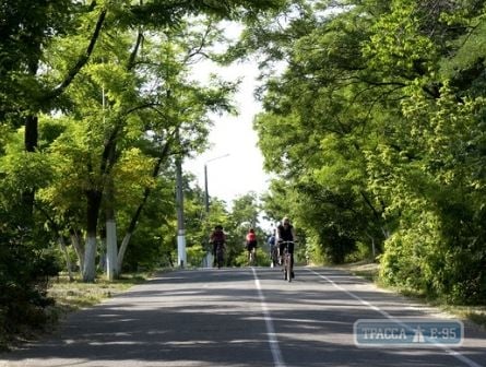 Велосипедист сбил женщину на Трассе Здоровья в Одессе