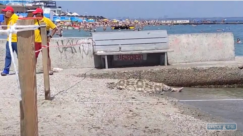 Женщина утонула на пляже в Одессе. Видео