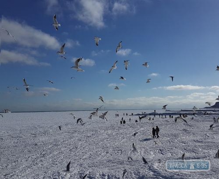 Одесситы приняли дрейфующий в море буй за унесенного на льдине человека