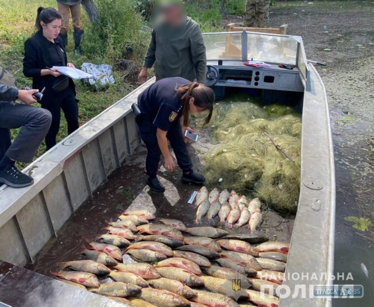 Браконьеры выловили около 100 кг рыбы на Днестровском лимане