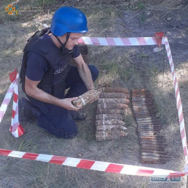 Одесские спасатели проводят разминирование Березовского леса: нашли 30 артснарядов