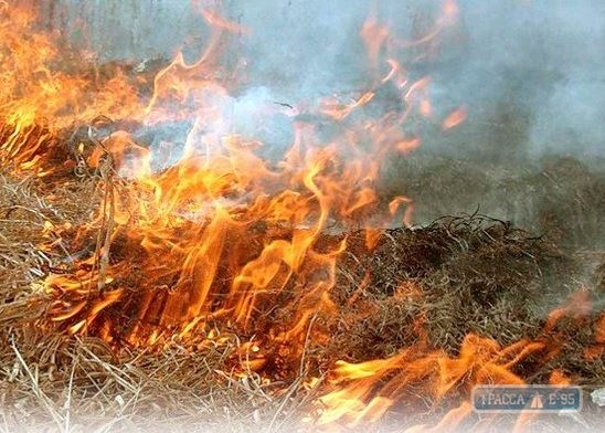 Масштабный пожар вспыхнул возле Куяльницкого лимана