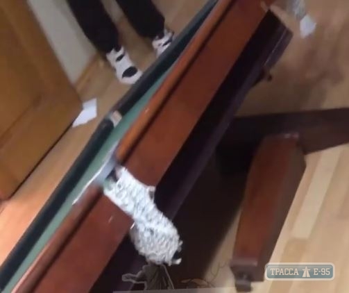 Подростки разгромили арендованное жилье под Одессой. Видео
