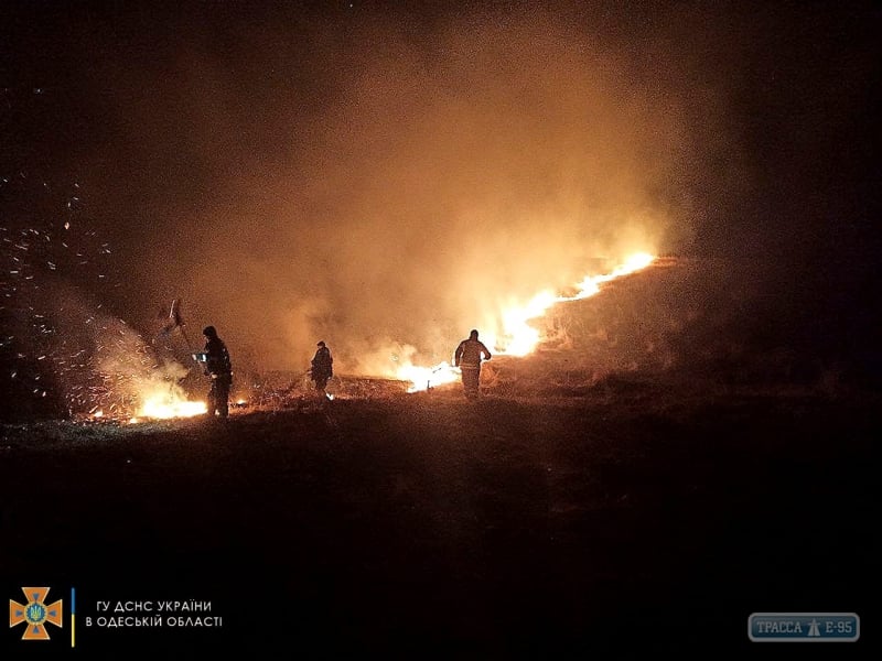 Жители Одесской области сожгли полтора гектара кустарника