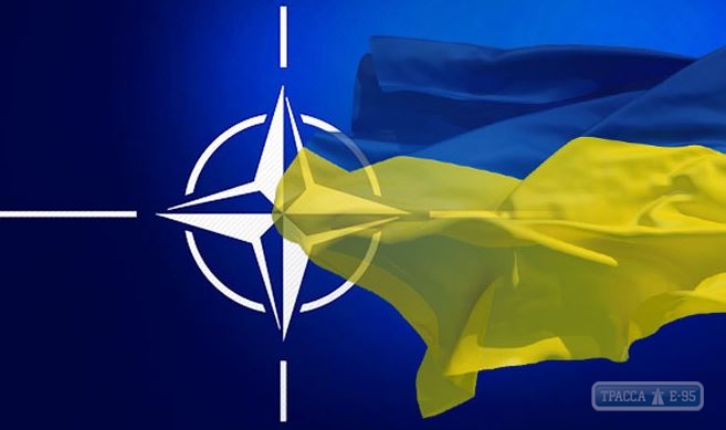 НАТО предоставит Украине вооружение - Арестович