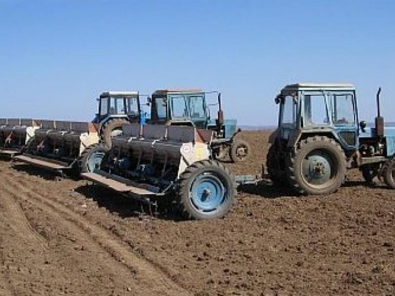 Аграрии Одесской области надеются в этом году побить рекорд по урожайности зерновых