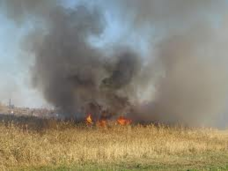 Пожарные потушили горящий камыш в четырех района Одесской области
