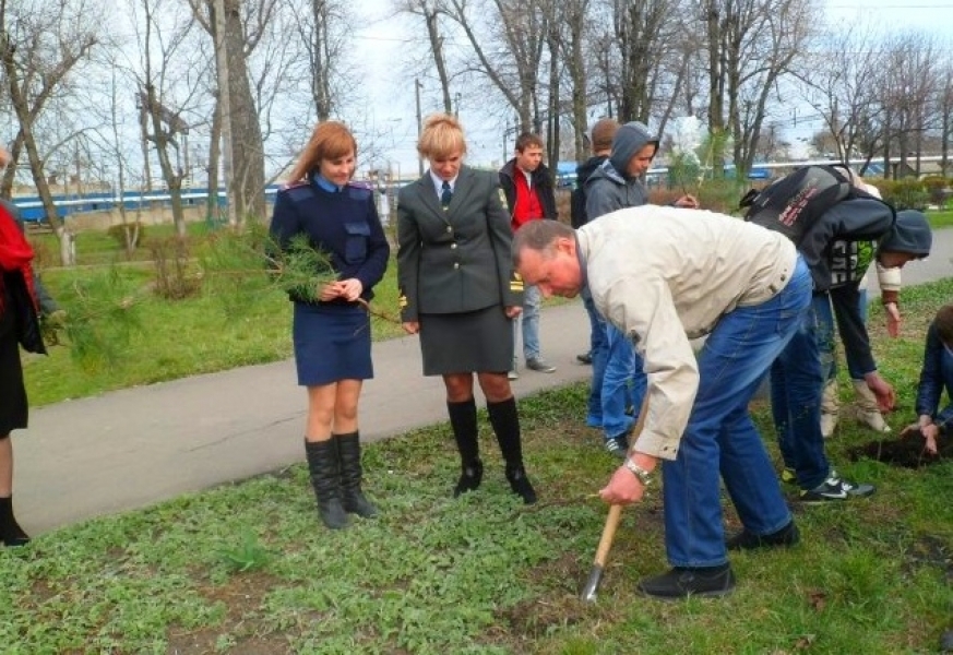 Новая аллея появилась в Котовске Одесской области