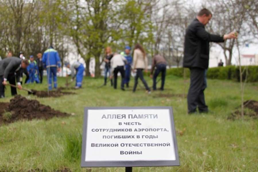 Сотрудники Одесского аэропорта высадили рябиновую аллею