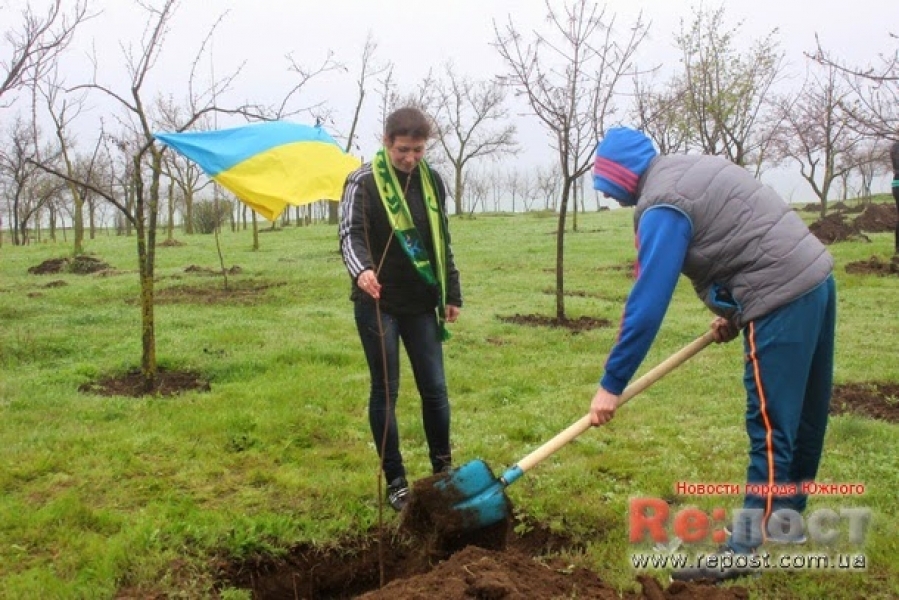 Крымчане посадили новую аллею в Южном Одесской области (фото)